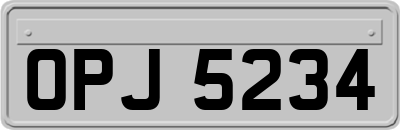 OPJ5234