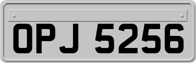 OPJ5256