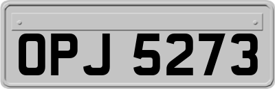 OPJ5273