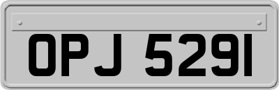 OPJ5291