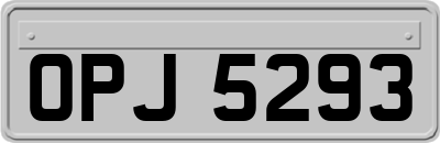 OPJ5293
