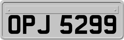 OPJ5299