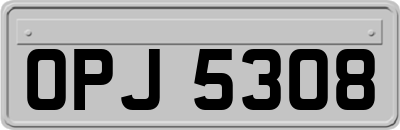 OPJ5308