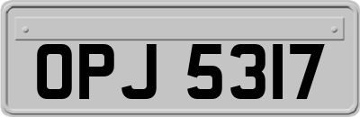 OPJ5317