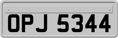 OPJ5344