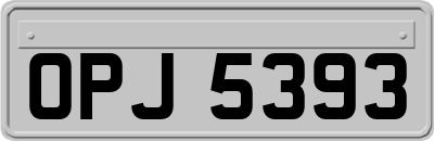 OPJ5393