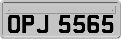 OPJ5565