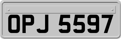 OPJ5597
