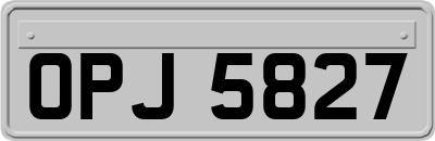 OPJ5827