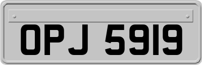 OPJ5919