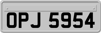 OPJ5954
