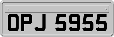 OPJ5955