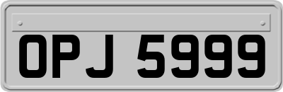 OPJ5999