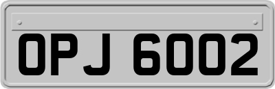 OPJ6002