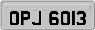 OPJ6013