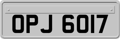 OPJ6017