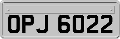 OPJ6022