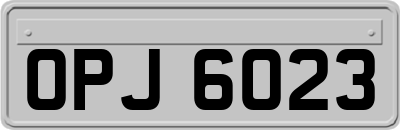 OPJ6023