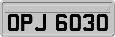 OPJ6030