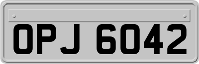 OPJ6042