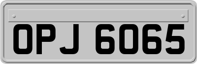 OPJ6065
