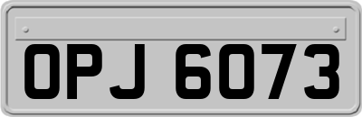 OPJ6073