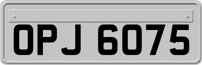 OPJ6075