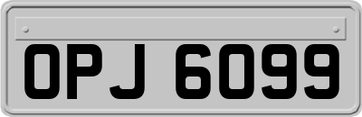 OPJ6099