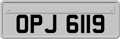 OPJ6119