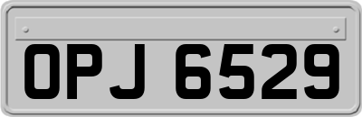 OPJ6529