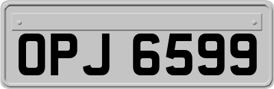 OPJ6599