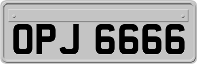 OPJ6666