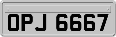 OPJ6667