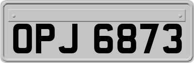 OPJ6873