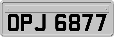 OPJ6877