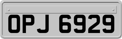 OPJ6929
