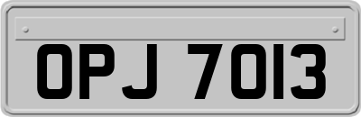 OPJ7013
