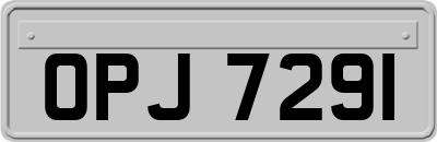 OPJ7291
