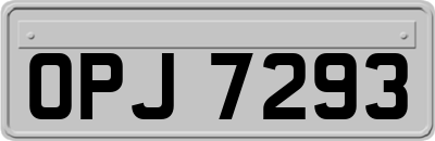 OPJ7293