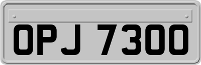OPJ7300