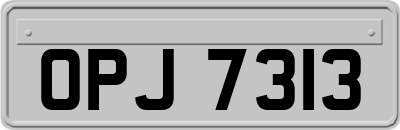 OPJ7313