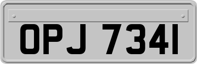 OPJ7341