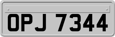 OPJ7344
