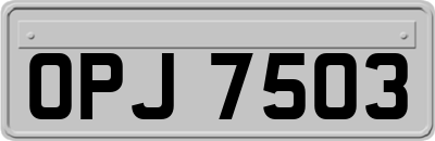 OPJ7503
