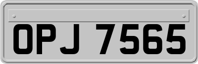 OPJ7565