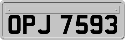 OPJ7593