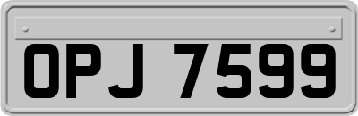 OPJ7599
