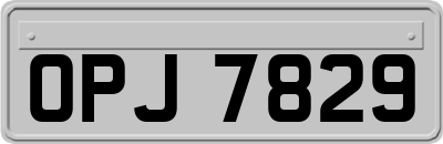 OPJ7829