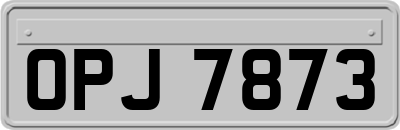 OPJ7873