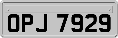 OPJ7929